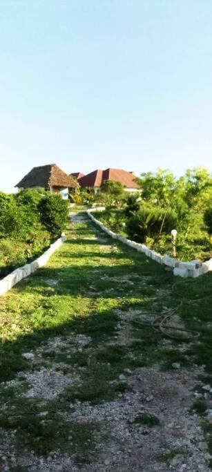 Marashi Villa Nungwi Εξωτερικό φωτογραφία